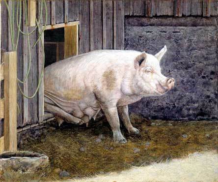 Arlington Arts Council member and Arlington resident Rocky Barrick’s painting “Six-Pack” will be on display at the third annual Harvest Jubilee Fine Art Show Sept. 19-20.