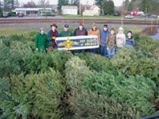 Members of Boy Scouts of America Troop 29 are dwarfed by the approximately 120 Christmas trees at their final collection in Legion Park Jan. 6
