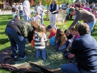 Kids dive in to dig out candy at the Harvest Partys haystack scramble.