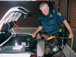 Whenever she detects drugs