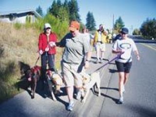 Poker and Paws Walk