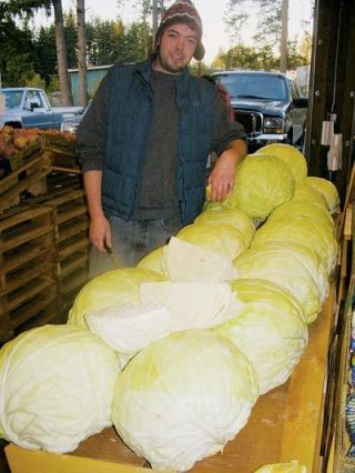 The Corner Produce stand on Cemetery Road sells giant cabbages perfect for coleslaw. More and more produce stands are popping up around the area with farmers also selling produce straight from the farm