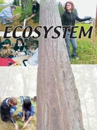 Top right: Stillaguamish Valley School ninth-grader Amanda Gegner checks which way