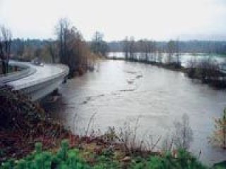 Flooding hits Arlington area