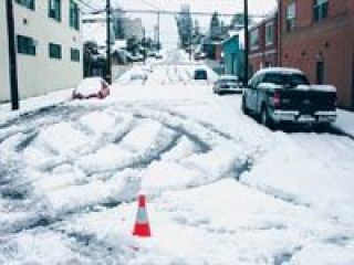 Snow Day brings Arlington to standstill