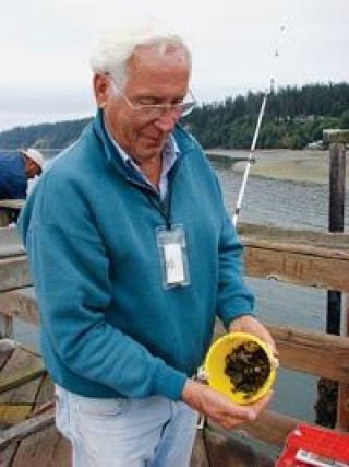 Fisherman Jeff Laine shows off his bucket of bait    mostly green grass crabs he had picked from the sands of the sound during low tide.