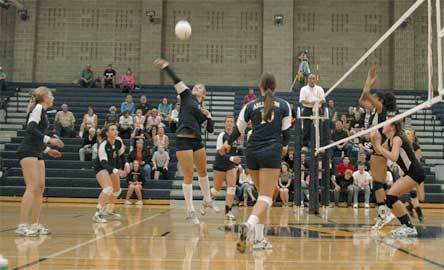 Keeping Arlington's volley alive