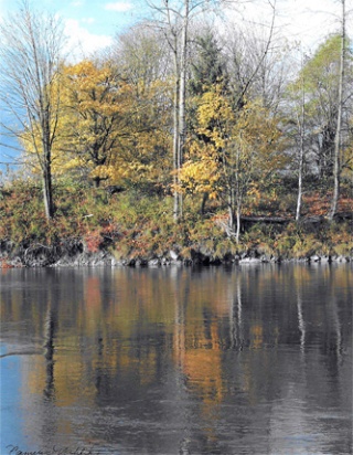 The image of the Stillaguamish River in winter by Cameila Nahlik will be featured on the cover of the next telephone directory created by the Arlington-Smokey Point Chamber of Commerce to help the community shop locally.