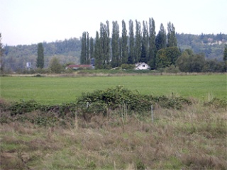 Property owned by Dwayne Lane will be a part of Arlington as of Tuesday