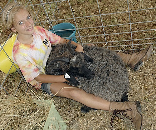 Sammy Day holds her goat that she says loves Frosted Mini-Wheats. She and her goat competed in the Silvana Fair.