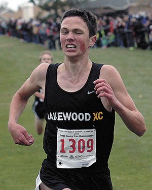 Lakewood’s Douglas Davis heads down the homestretch at the 2A State Meet in Pasco Nov. 9.