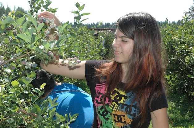 Arlington's Elicia Kirk is a regular attendee of the Bryant Blueberry Festival