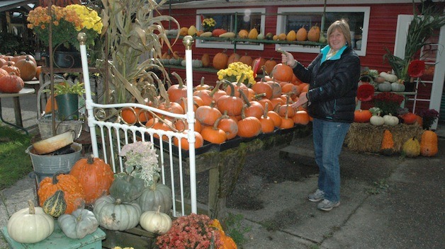 Connie Foster shows off the harvest selection at Foster's Produce & Corn Maze in time for its annual Fall Pumpkin & Corn Maze Festival this month.