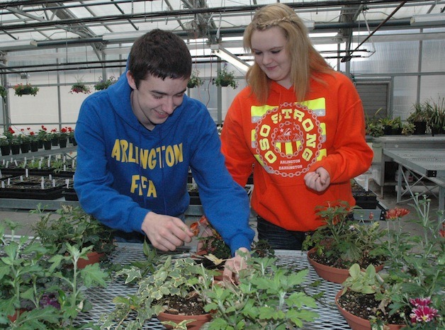 Arlington High School Future Farmers of America Vice President Kolton Ford and member Kaitlyn Meissner tend to their plants during their May 10 sale in the AHS greenhouse.