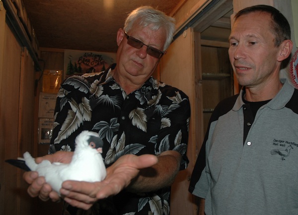 Arlington’s Dennis Bray presents one of his pigeons to fellow breeder Norbert Giesecke of Germany.