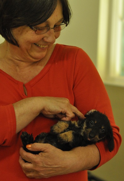 Deb Quinn cuddles a dachshund named Harriet