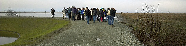 Bird watchers take to nature to take photographs at a previous eagle festival.