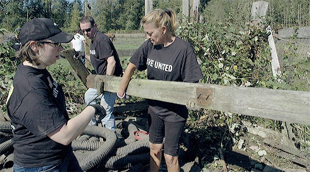 Volunteers take down an old fence at a nonprofit horse rescue farm in Marysville. The group relies on volunteer work from the United Way's Day of Caring to help with things it can't get done with its regular volunteers.