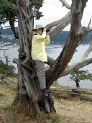 Sheila Sindelar perches in a tree in the effort to spot a some kind of bird in the distance.