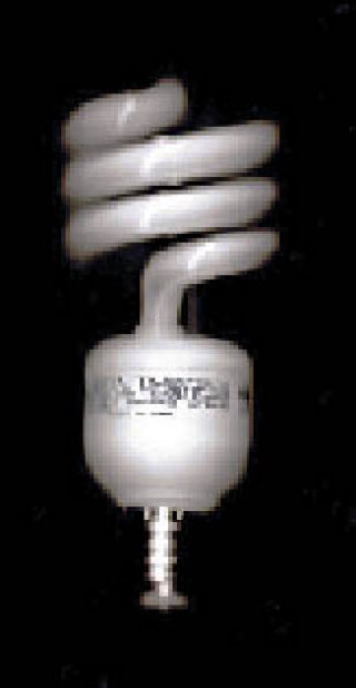 The good and bad about Compact Fluorescent Lights