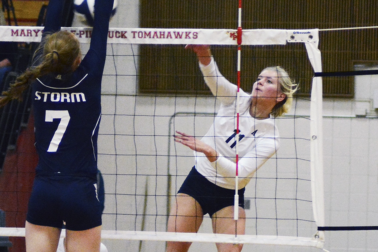 Brandon Adam/Staff Photo                                Arlington’s Morgan VanLaar the spikes the ball during the 3A district championship game.