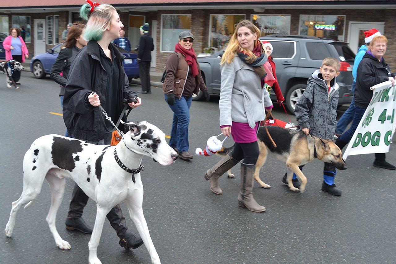 Snowballs fall on Arlington holiday festival