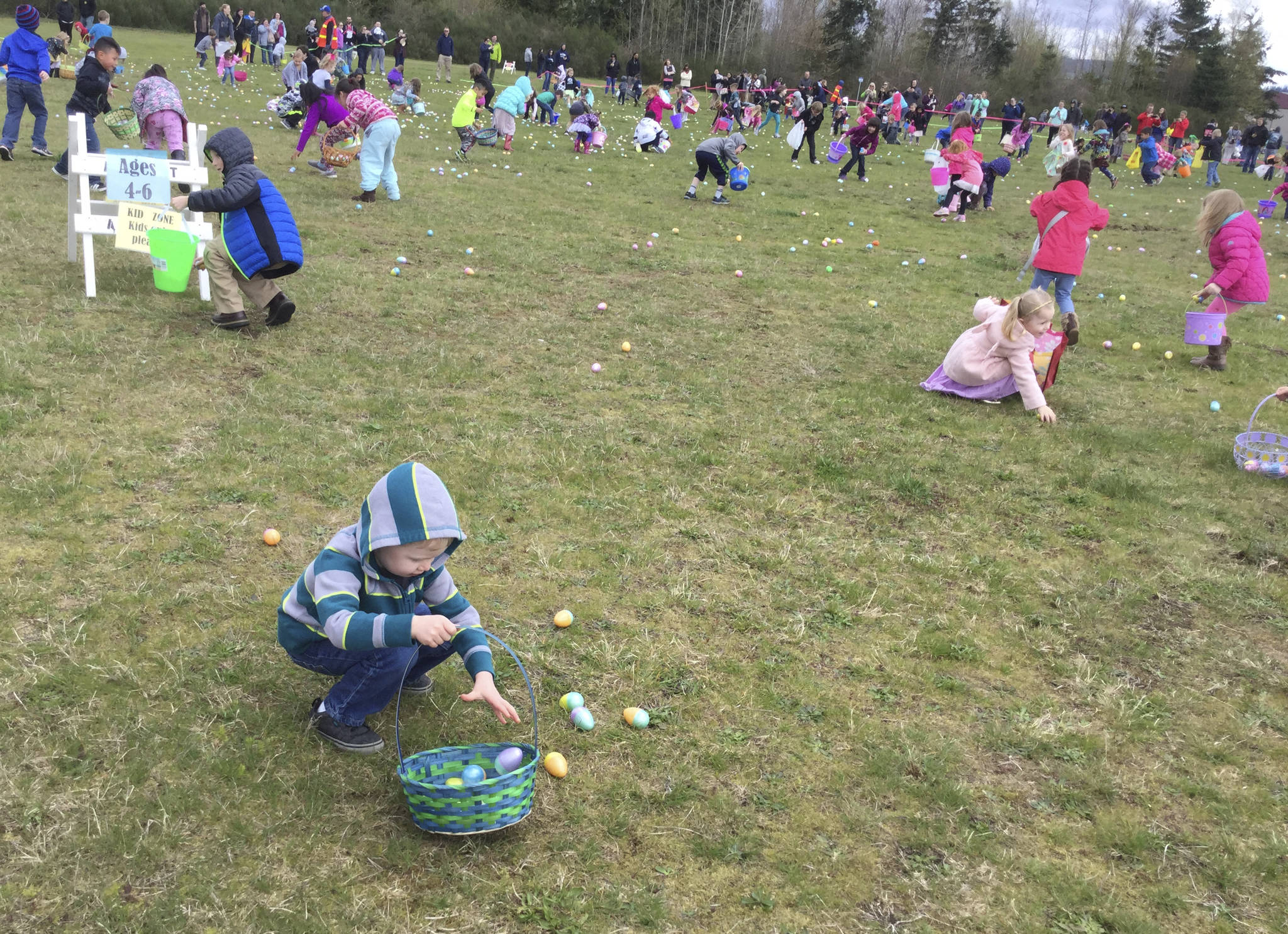 Jaxon Davis, 4, of Arlington, is laser-focused on filling his basket at the annual Arlington Easter Egg Hunt Saturday at the Arlington Airport Field.