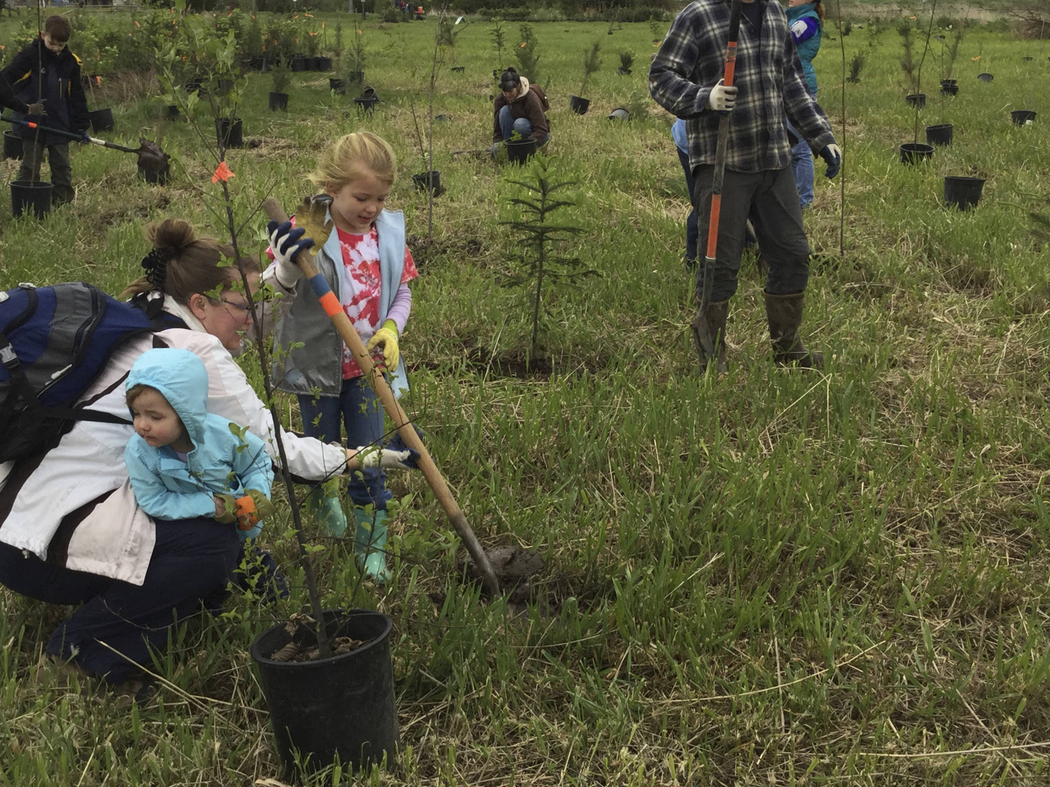 Arlington, Marysville team up for Earth Day planting event for Edgecomb Creek