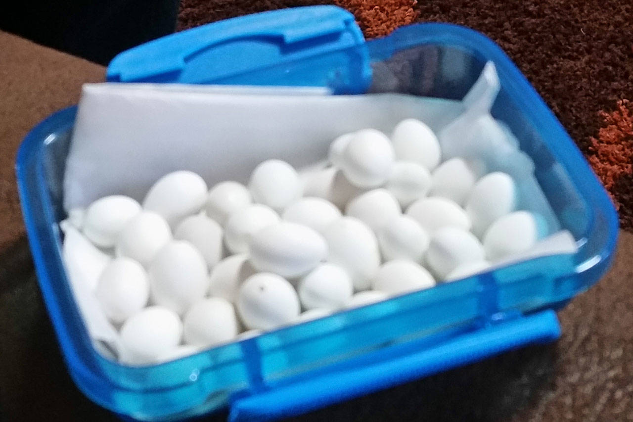 A dozen reasons to like egg art; they make it look overly easy (slide show)