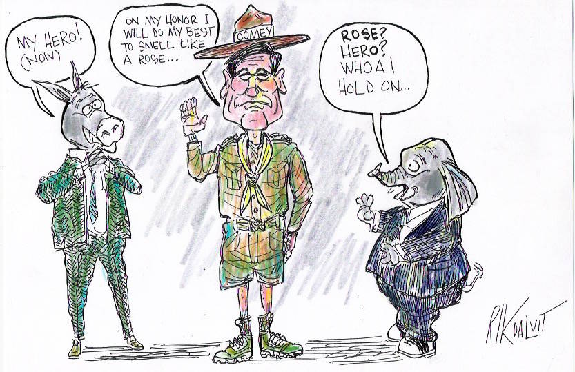 Political cartoons (June 17)