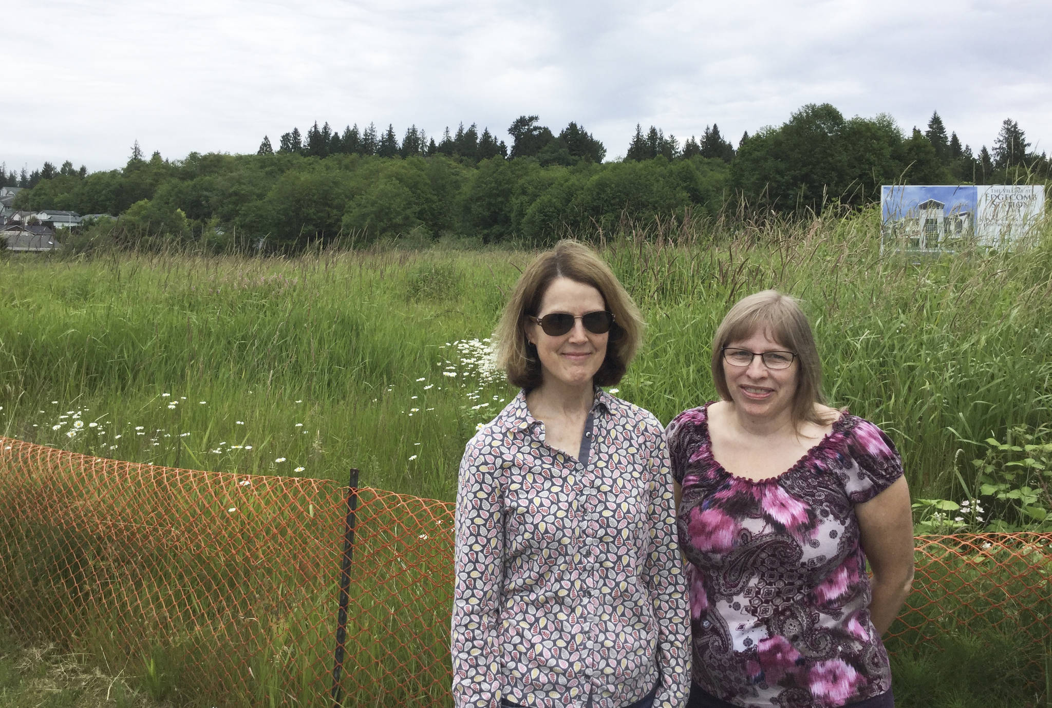 Planning commission vote on contested Riar Family rezone ends in impasse