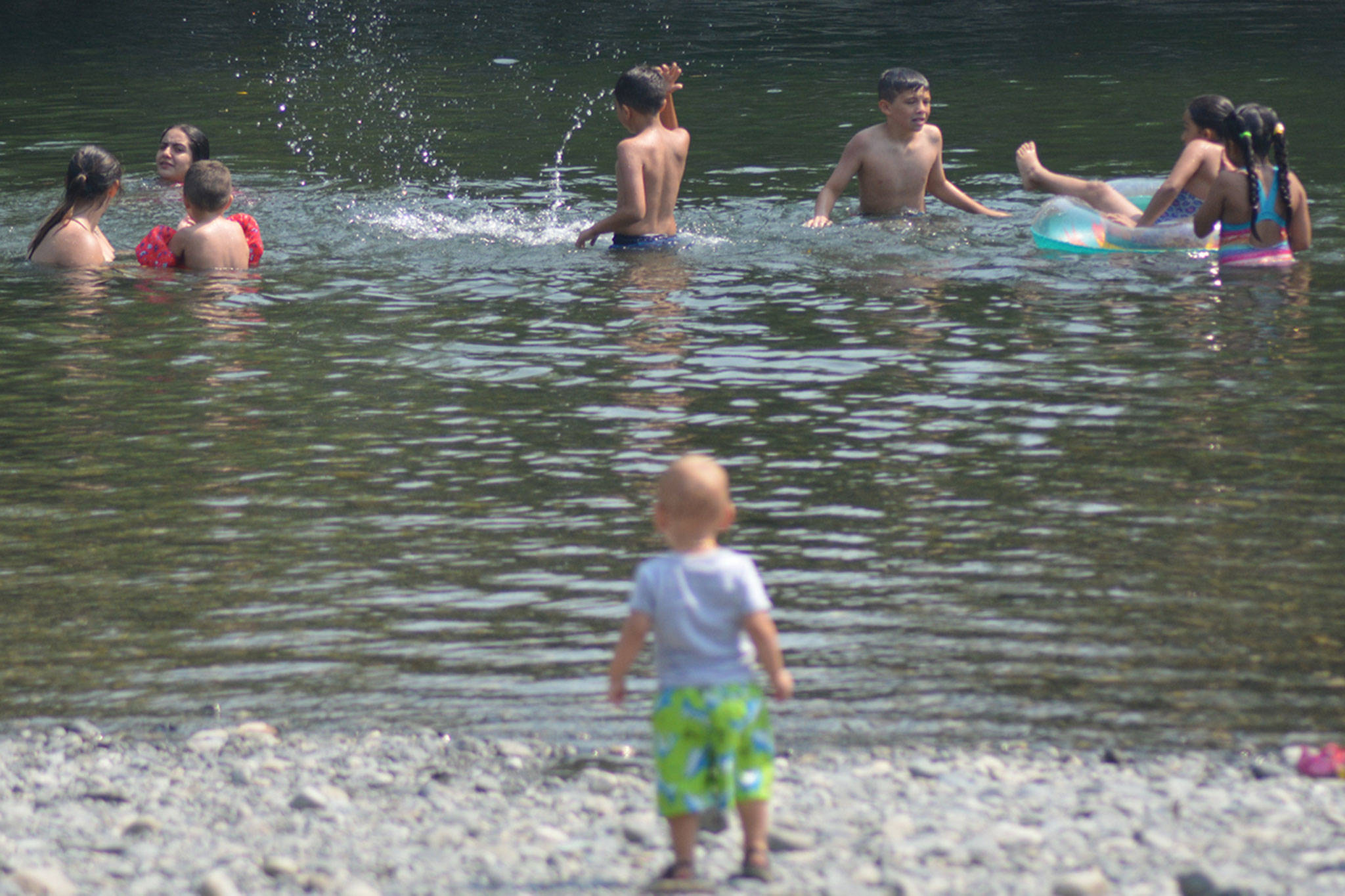 It’s too hot! Gotta run for shade (slide show)