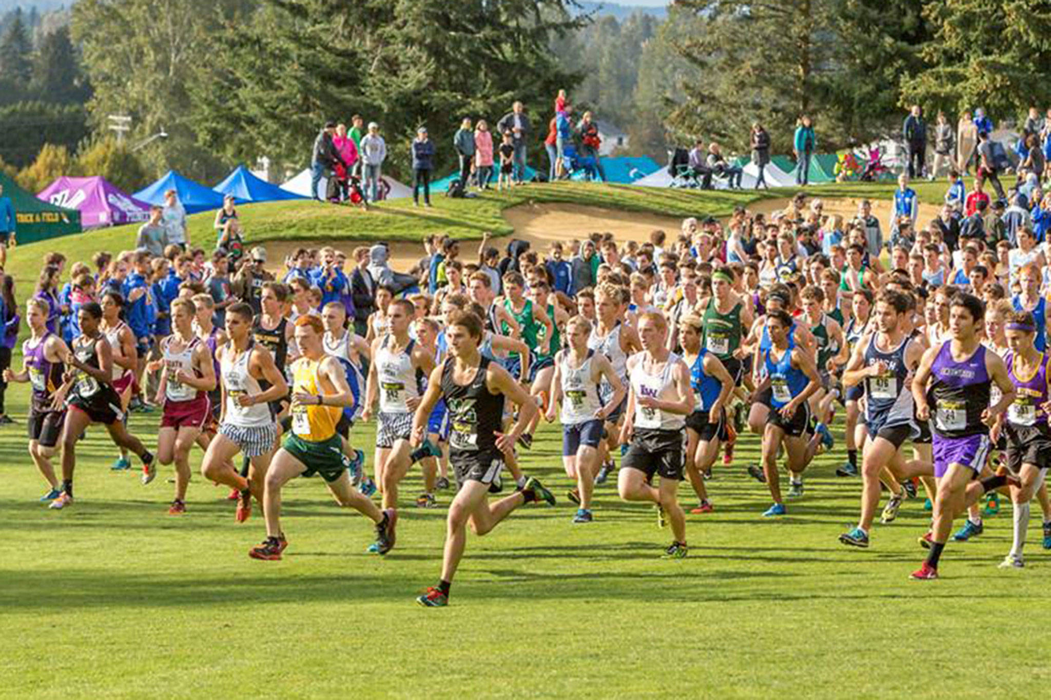 Spotlight on runners at Twilight Cross Country Invitational