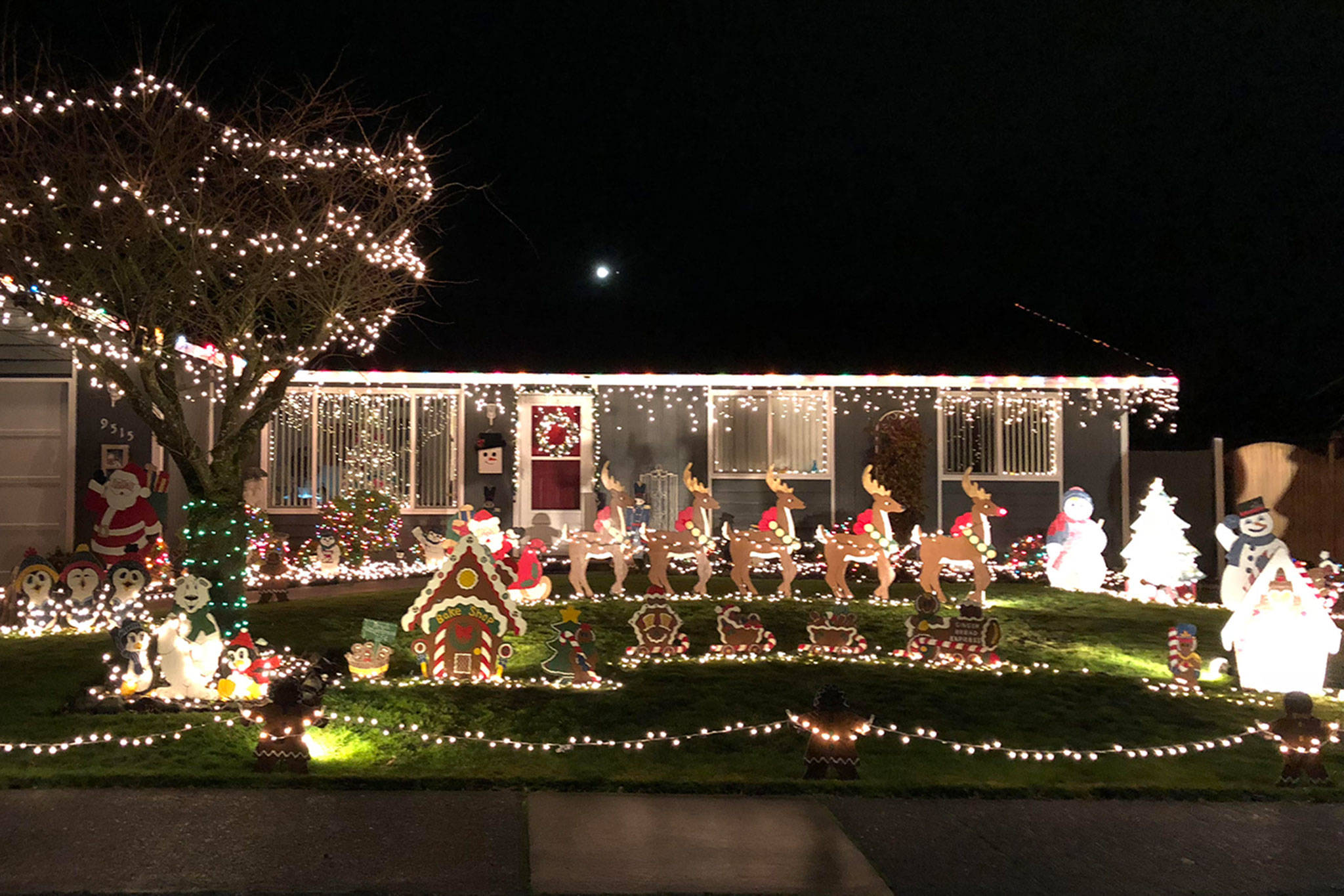 Win a prize, enter Christmas Lights Contest