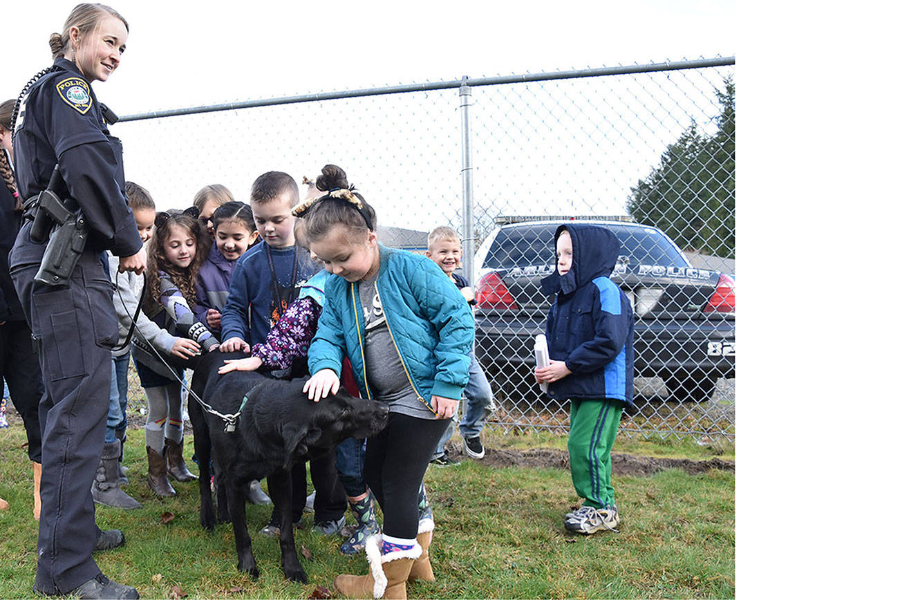 K9s go to Arlington school
