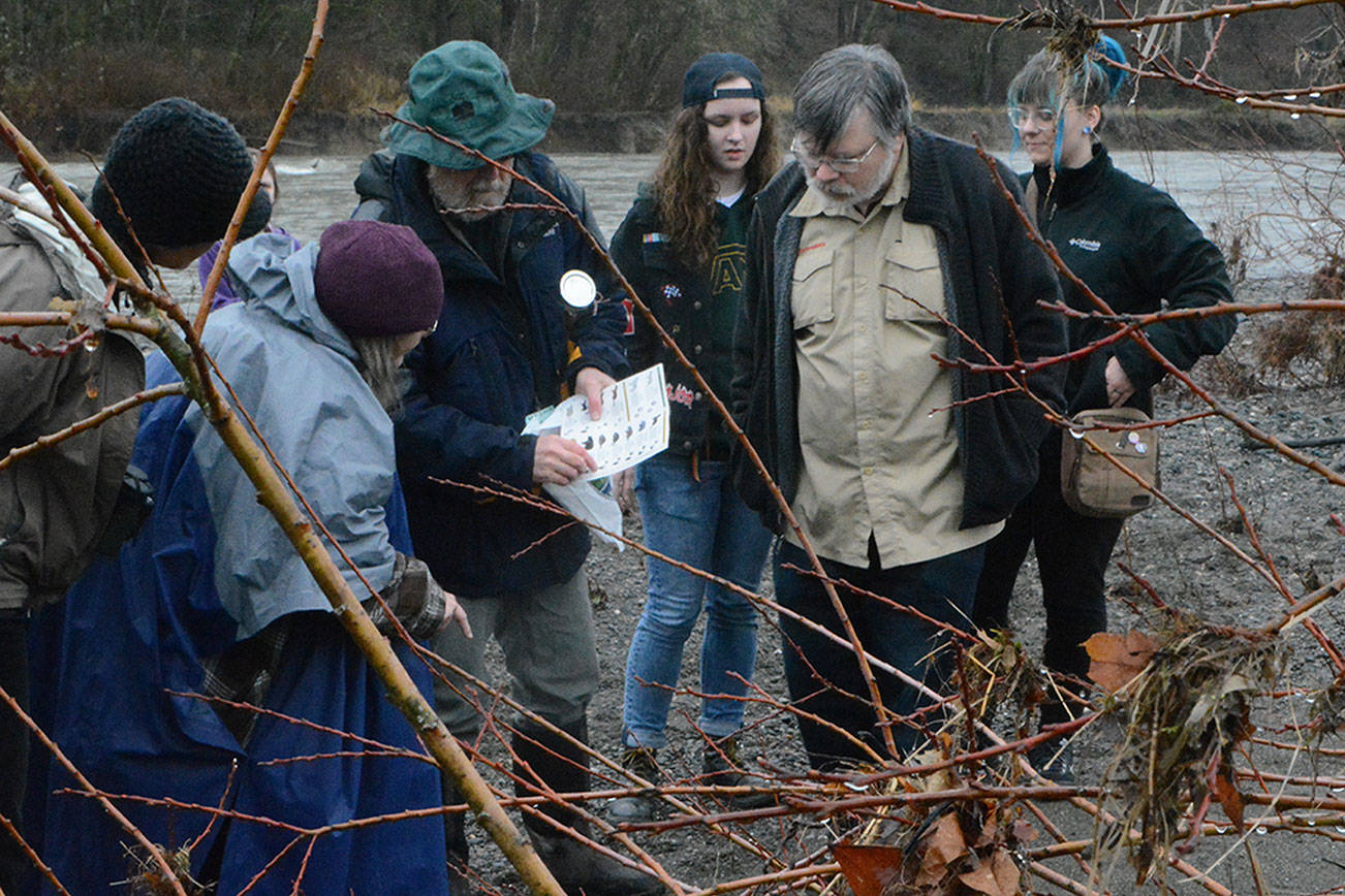 About 50 hike nature trail during Eagle Festival