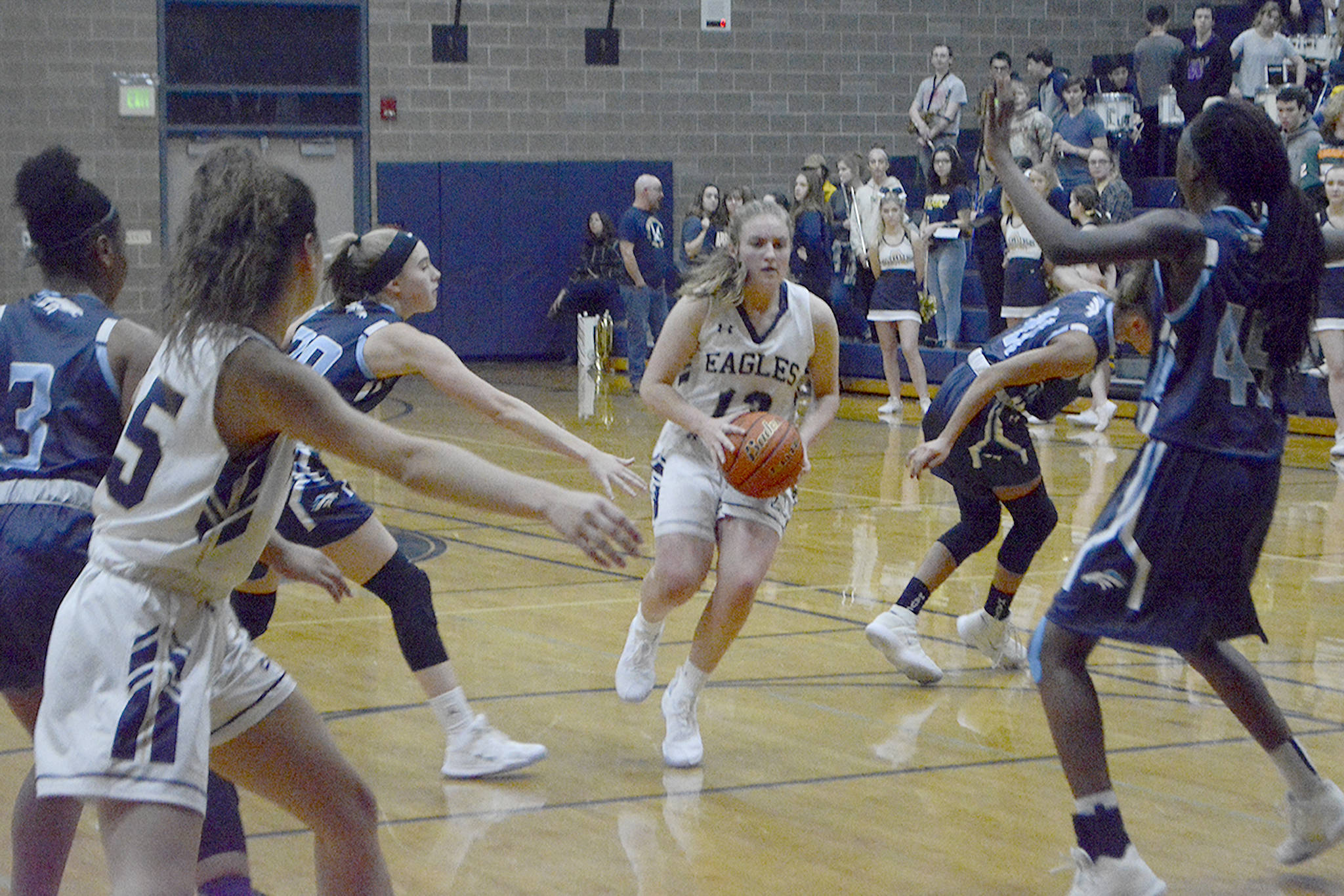 Arlington girls win elimination game, move on in playoffs (slide show)