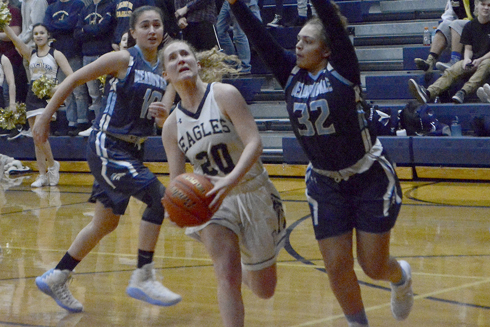 Arlington girls win elimination game, move on in playoffs (slide show)