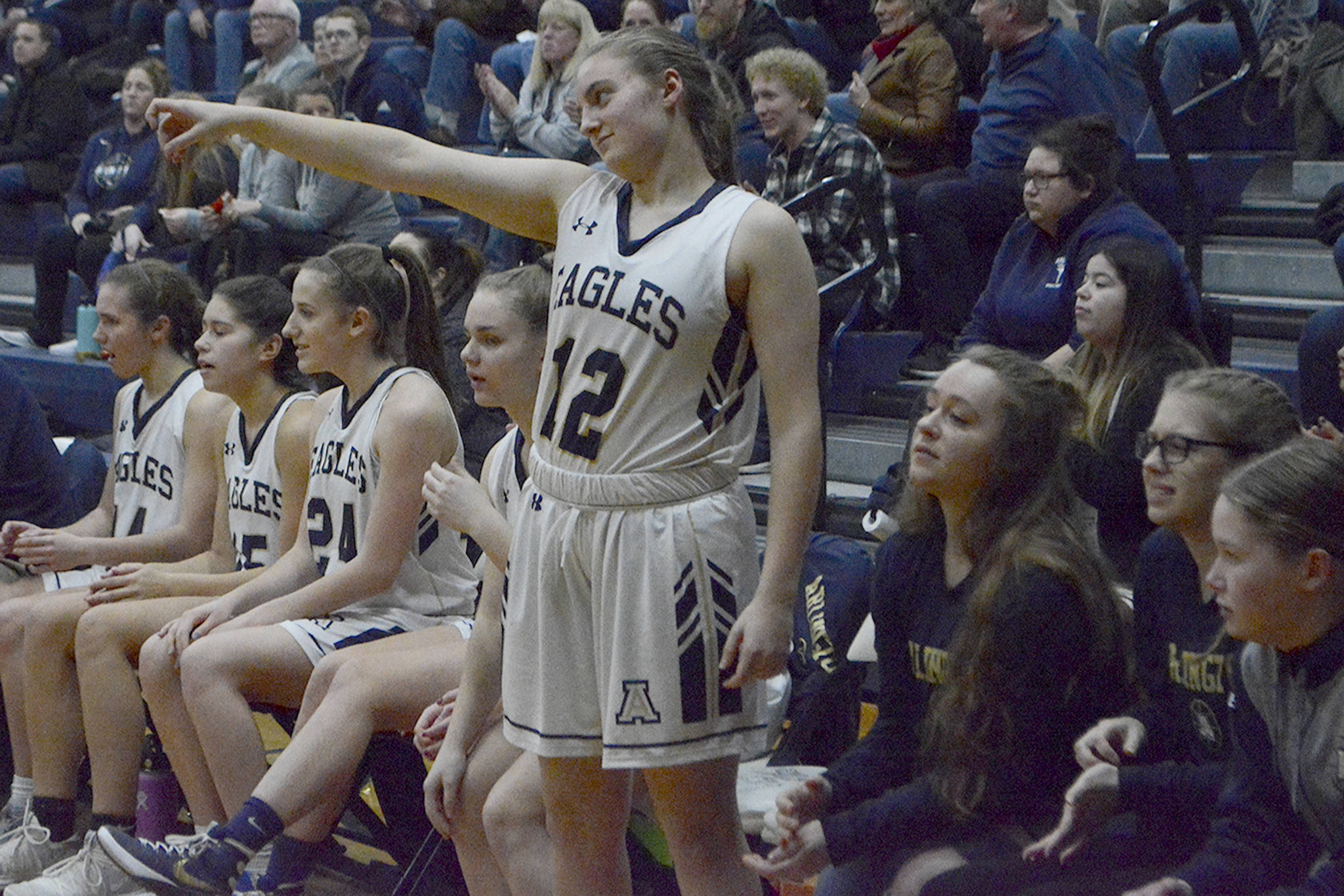 Arlington girls win elimination game, move on in playoffs (slide show)
