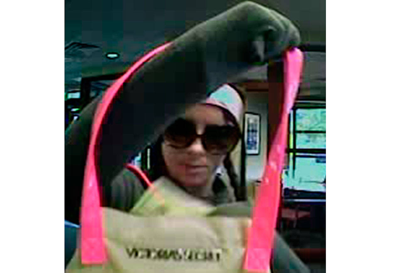 Police seek help finding female bank robber