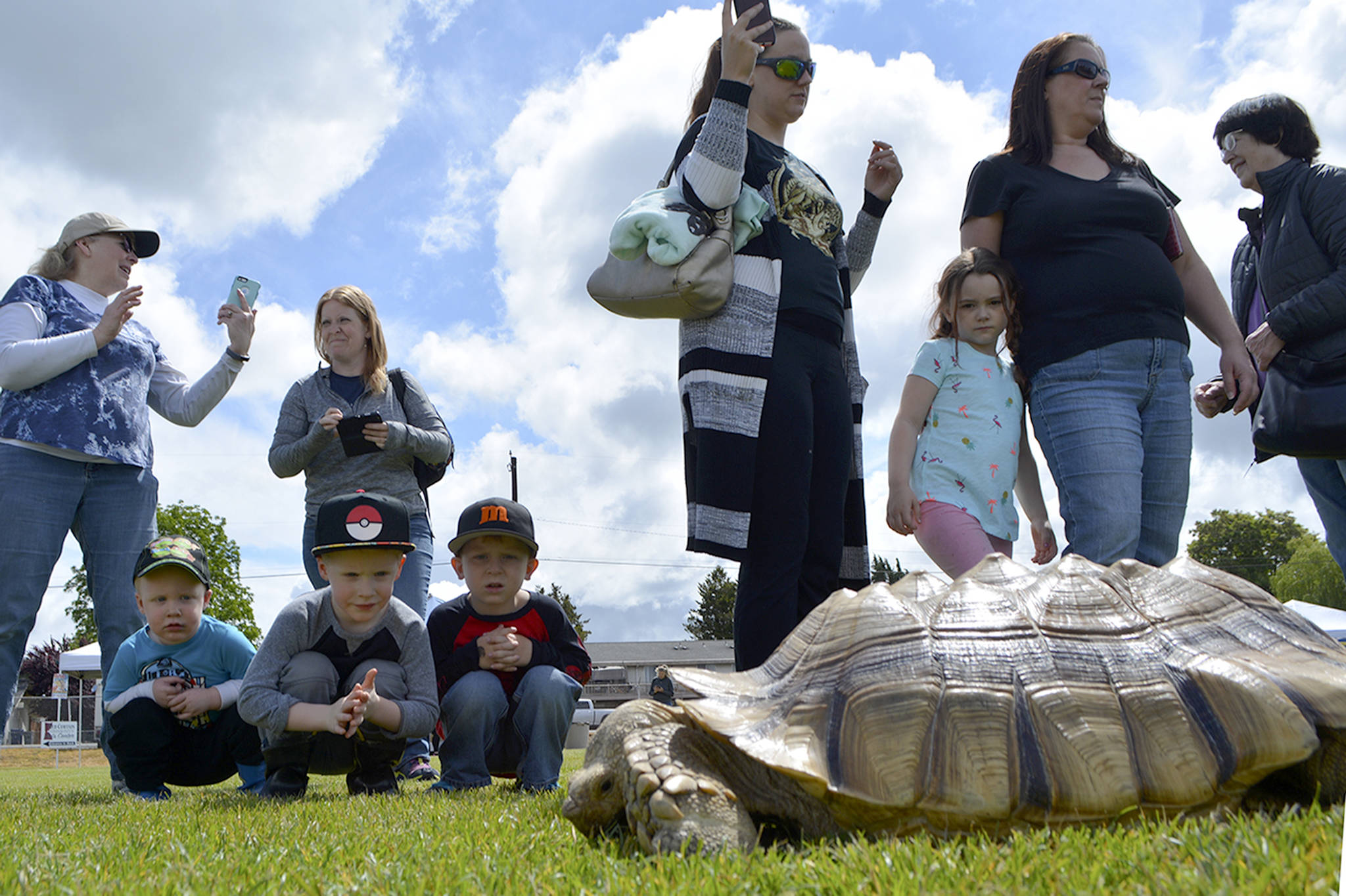 Active kids stand out in Party in the Park in Marysville (slide show)