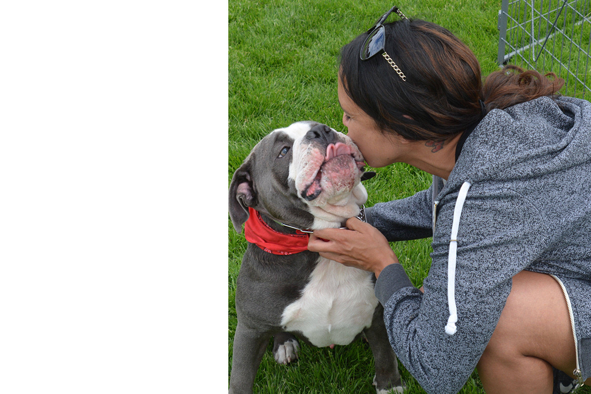 Smooch pooch just one attraction at Marysville’s outdoor dog show (slide show)