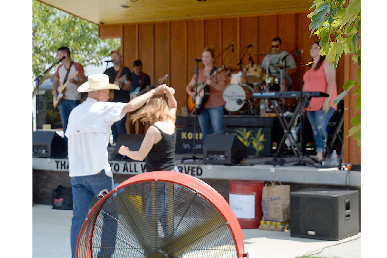 Music festival in Arlington raises help for food bank