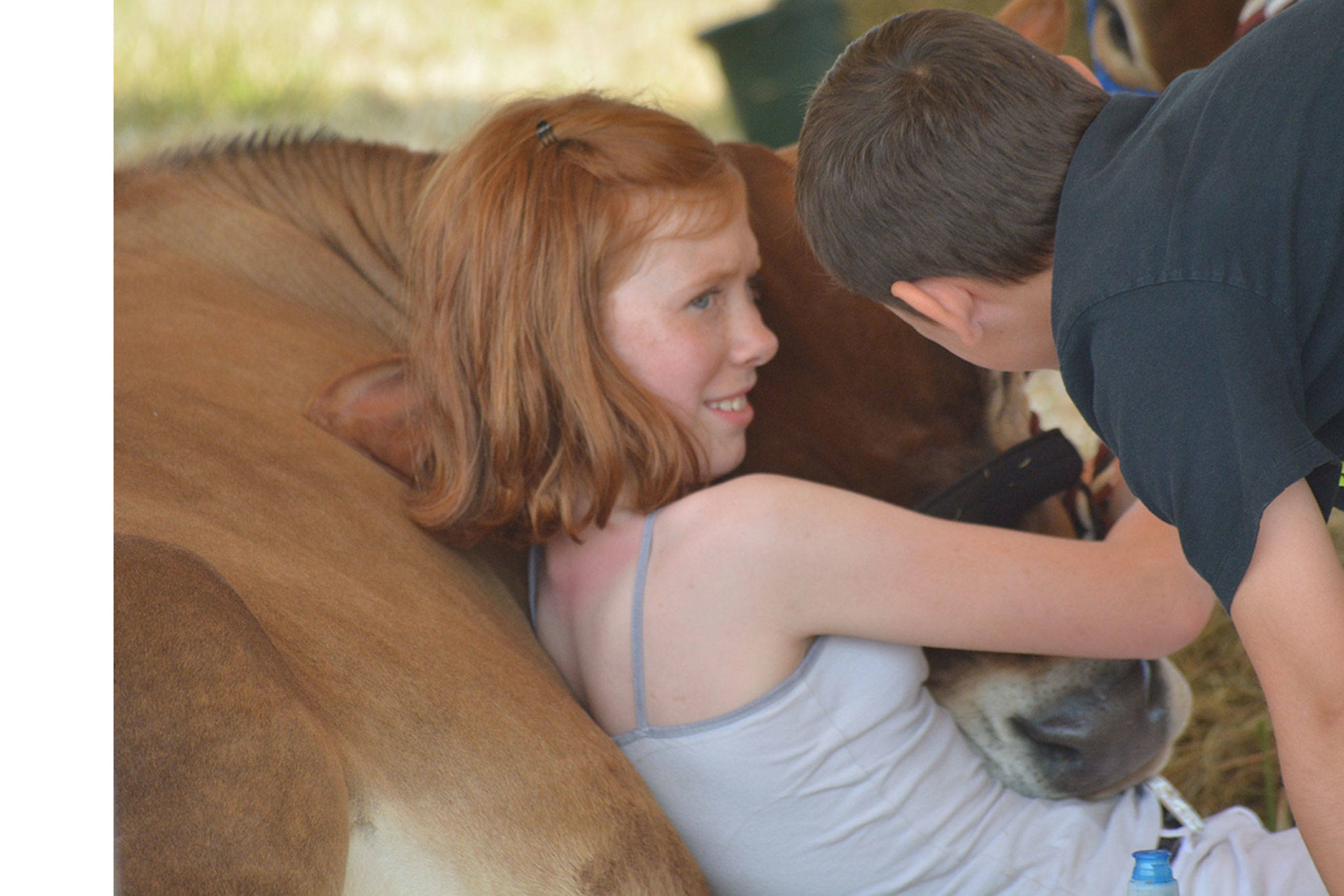 It’s all about the animals at the Silvana Fair (slide show)