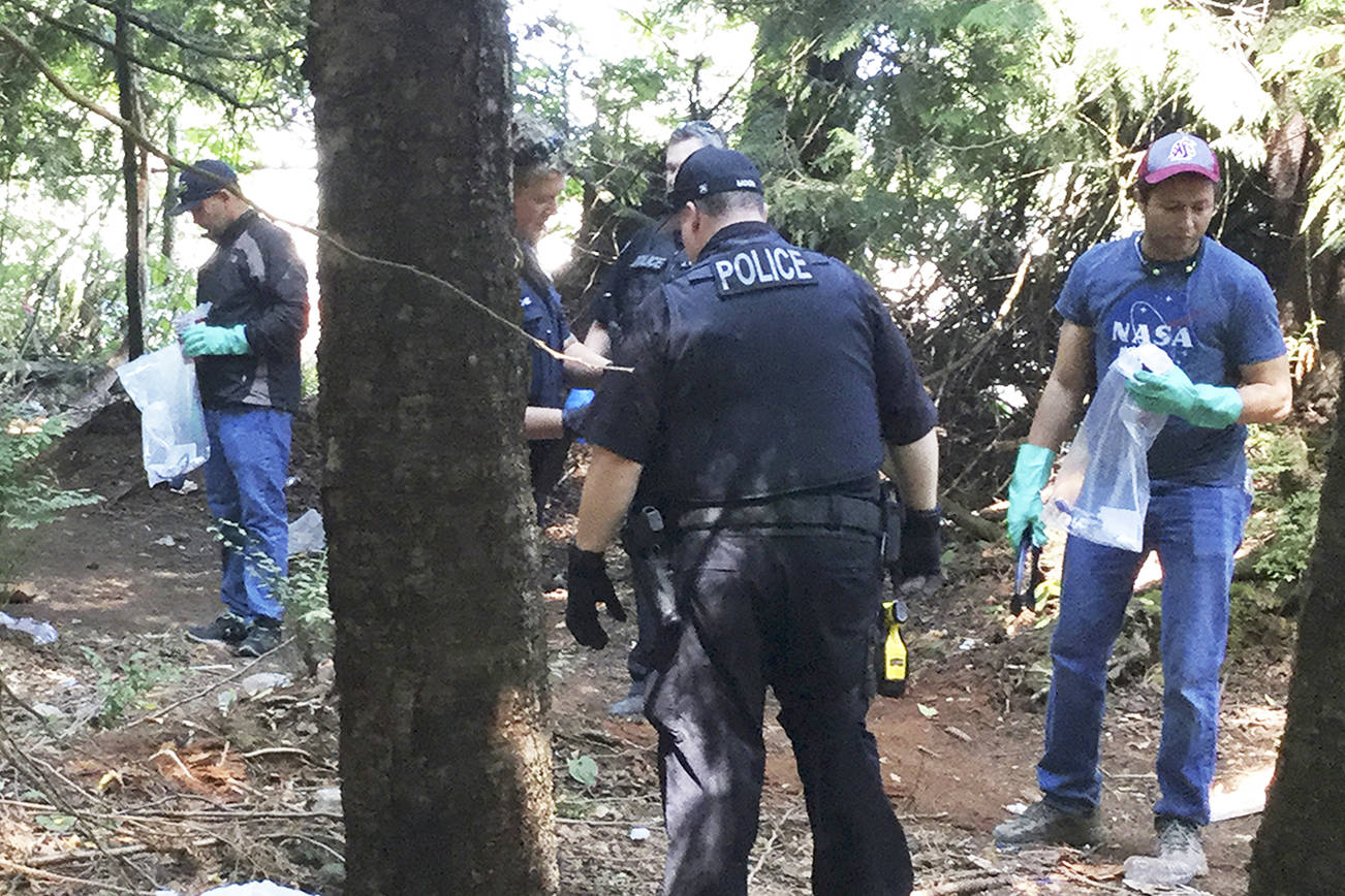 Snohomish County elected leaders team up for needle cleanup in Smokey Point