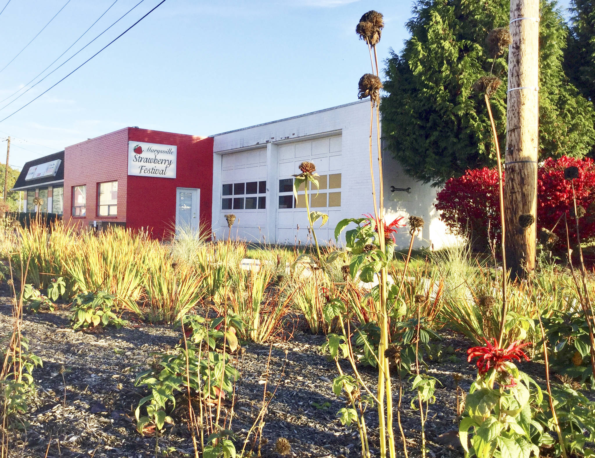 An Oct. 25 open house is planned for the Marysville Strawberry Festival’s new location at 1412 First St. in front of Ebey Waterfront Park.