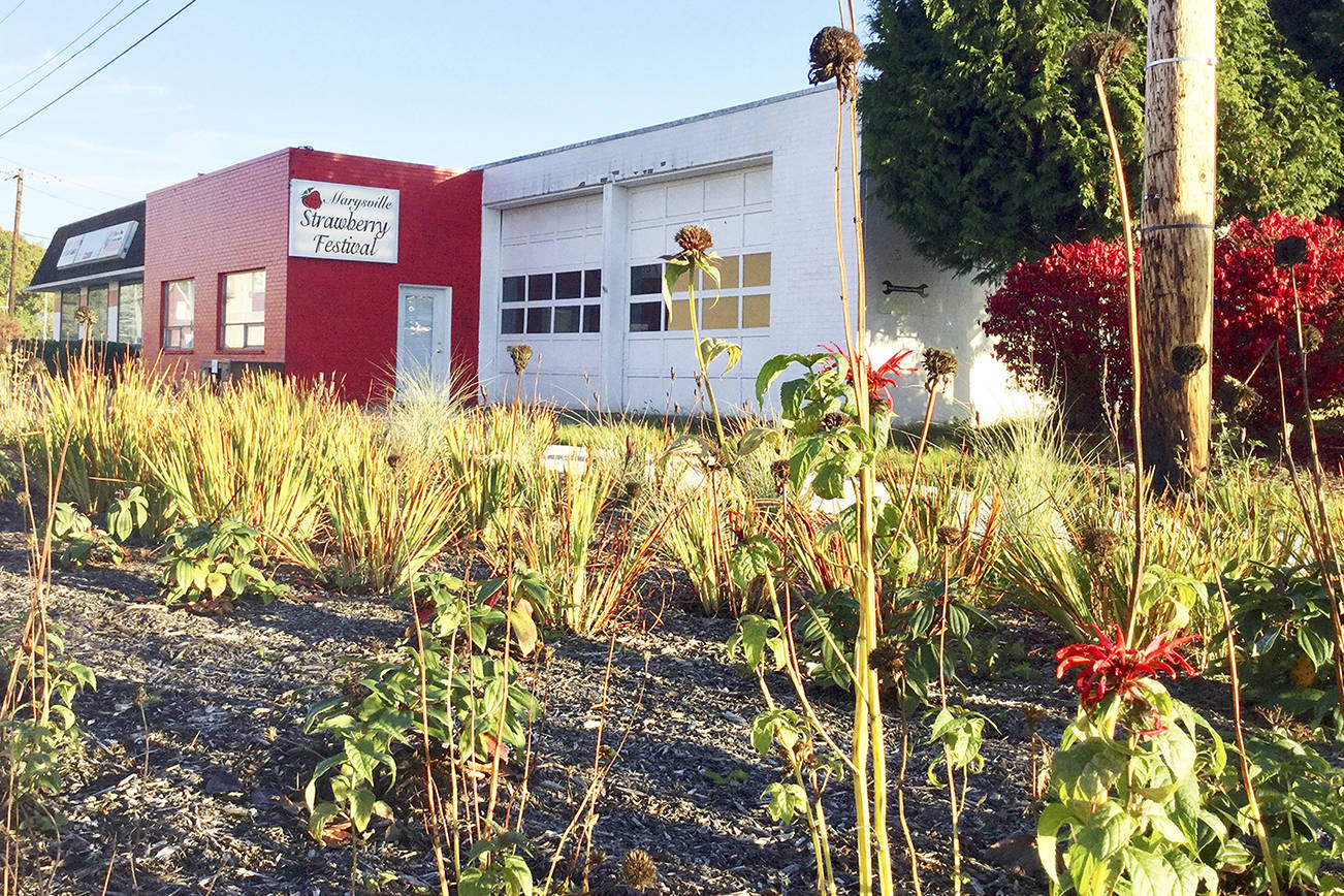 Marysville Strawberry Festival hosts open house at new digs Oct. 25