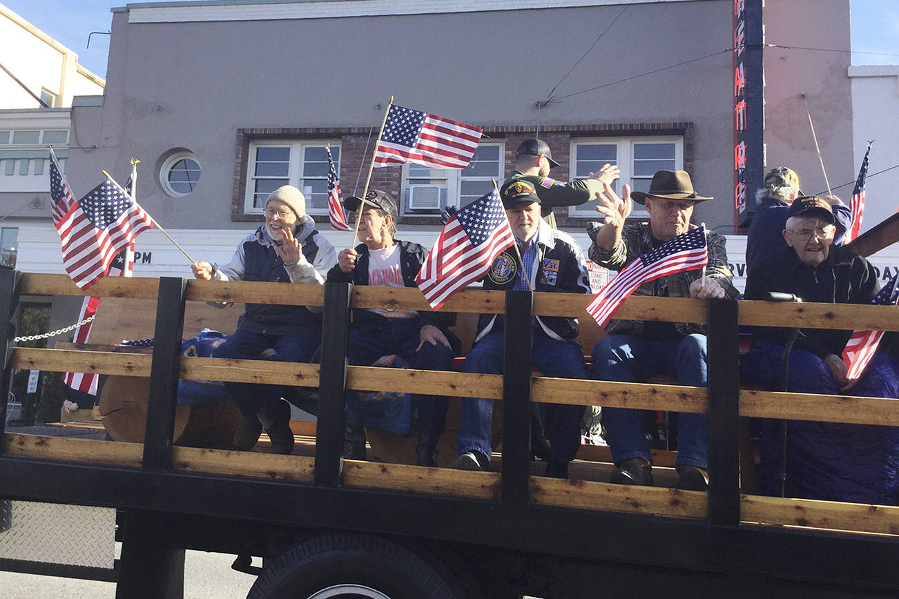 Arlington pays tribute to armed forces during Veterans Day Parade (video)