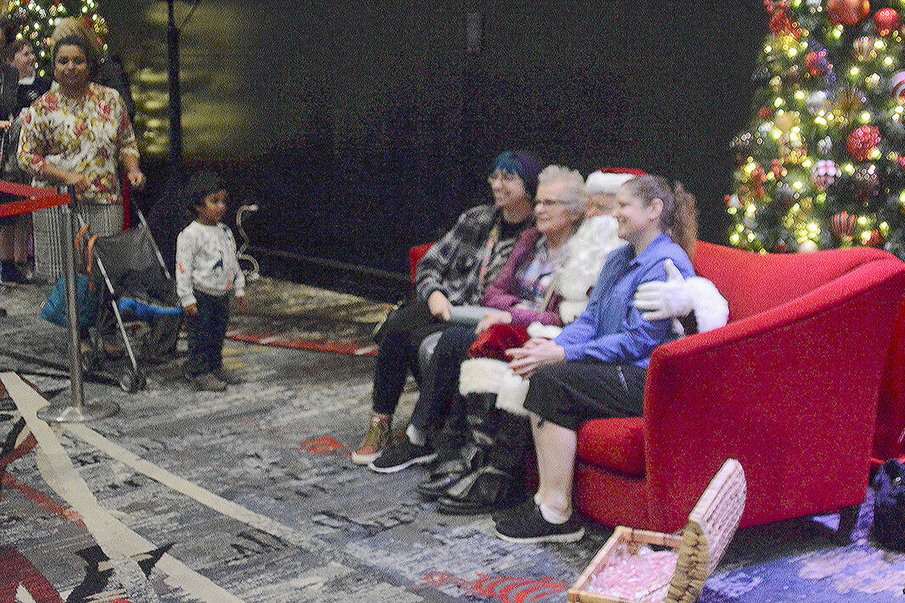 The prices these Christmas trees go for could shock you (slide show)