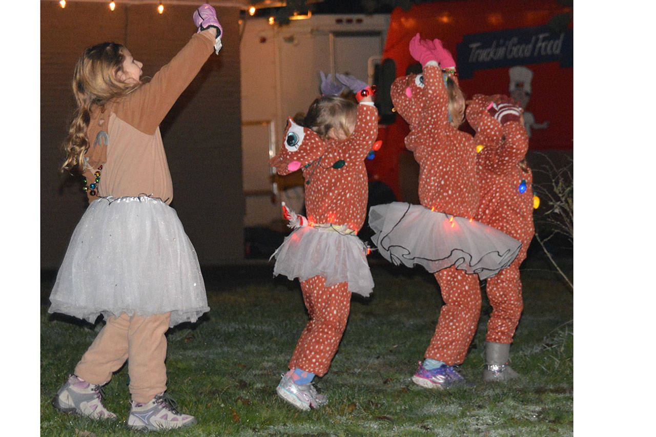 10,000 turn out for Merrysville for the Holidays (slide show)